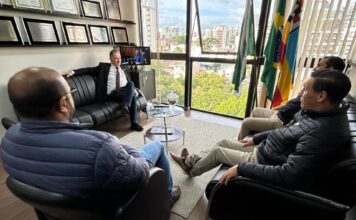 Deputado Gilson de Souza recebe vereadores de Tapejara na Assembleia Legislativa