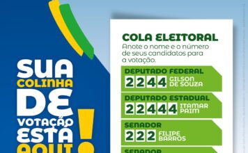 “Colinha” Juntos Somos Mais Fortes